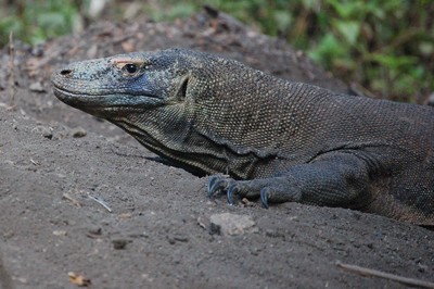 m_DSC_0277.jpg