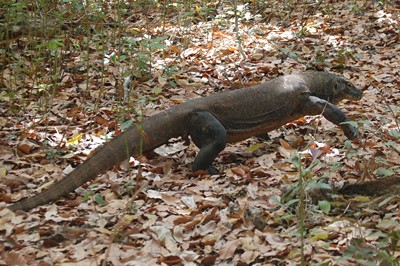 m_DSC_0272.jpg
