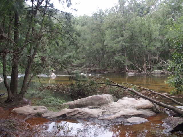 image1.JPG