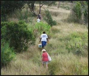 Description: Description: C:\Users\Cheryl\Desktop\Yasawas\Blue Lagoon Walk\small photos\m_IMG_8641.jpg