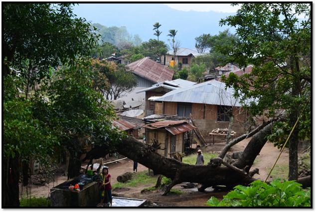 Description: C:\Users\Cheryl\Desktop\Indonesia\Flores Island\Three Lakes & Market\DSC_0062.JPG