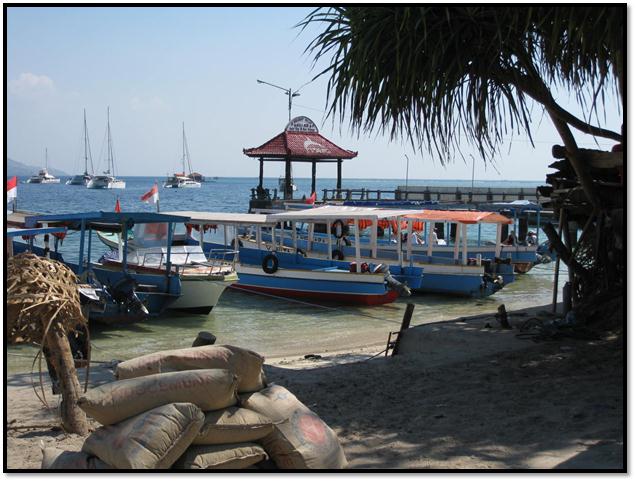 Description: C:\Users\Cheryl\Desktop\Indonesia\Lombok\Airlie Island\IMG_0044.JPG