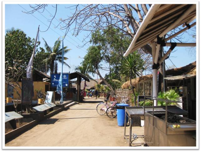 Description: C:\Users\Cheryl\Desktop\Indonesia\Lombok\Airlie Island\IMG_0028.JPG