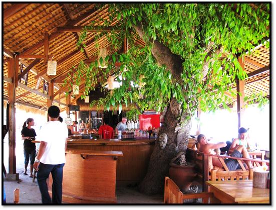 Description: C:\Users\Cheryl\Desktop\Indonesia\Lombok\Airlie Island\IMG_0022.JPG
