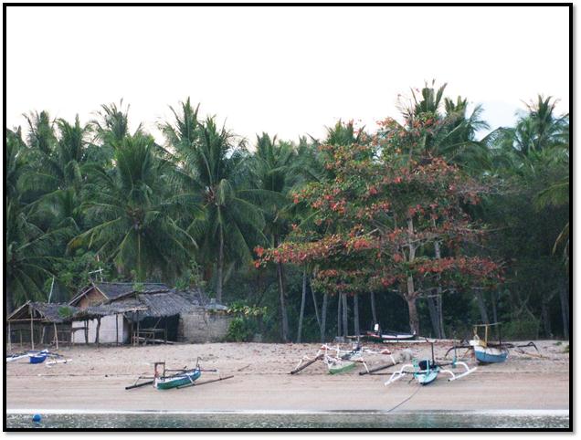 Description: C:\Users\Cheryl\Desktop\Indonesia\Lombok\Medana Beach\IMG_0074.JPG
