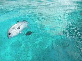 Bahamas 026
