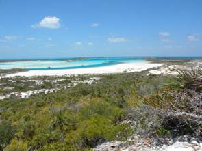Exuma's, Bahama's 011