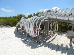 Exuma's, Bahama's 001