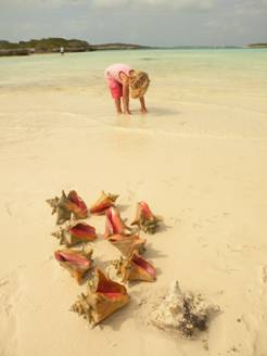 Exuma's, Bahama's 074
