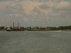 Charleston 022