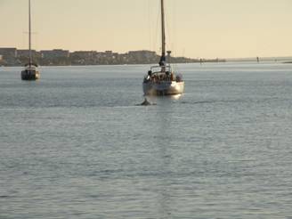 wrightsville Beach 002