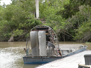 Miami; Alligator Farm 019