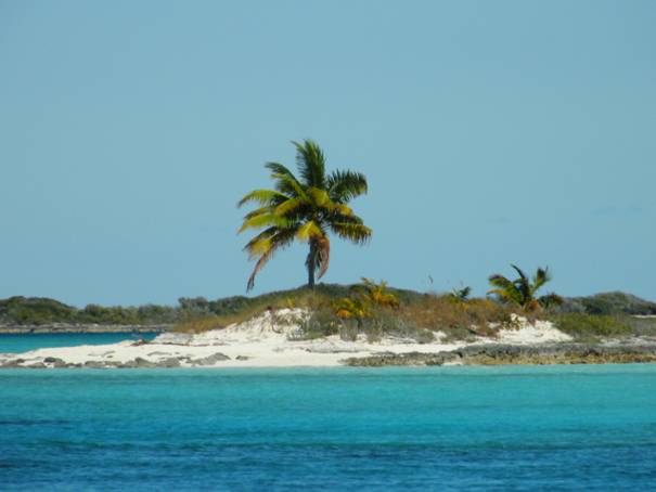 Norman's Cay Febr. '10 003