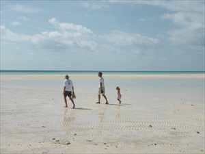 Osprey Cay 090