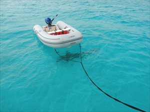 Fowl Cay; Big Majors 028
