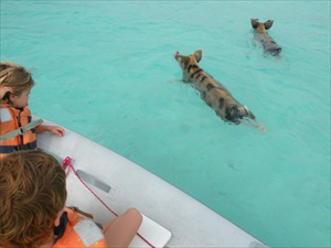 Fowl Cay; Big Majors 021