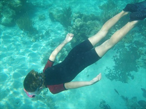 Soldier Cay, Sea Aquarium 025