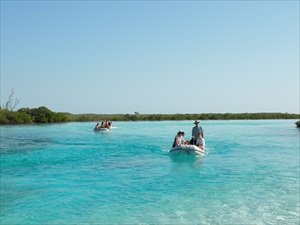 shroud cay 014