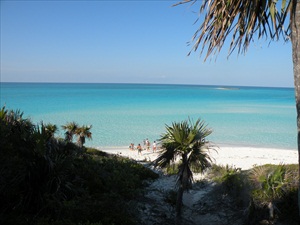 shroud cay 040