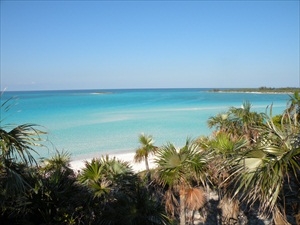 shroud cay 037