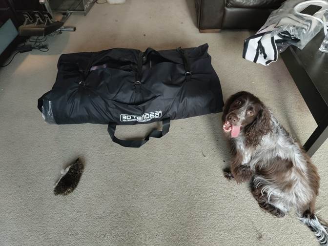 A picture containing indoor, dog, floor

Description automatically generated