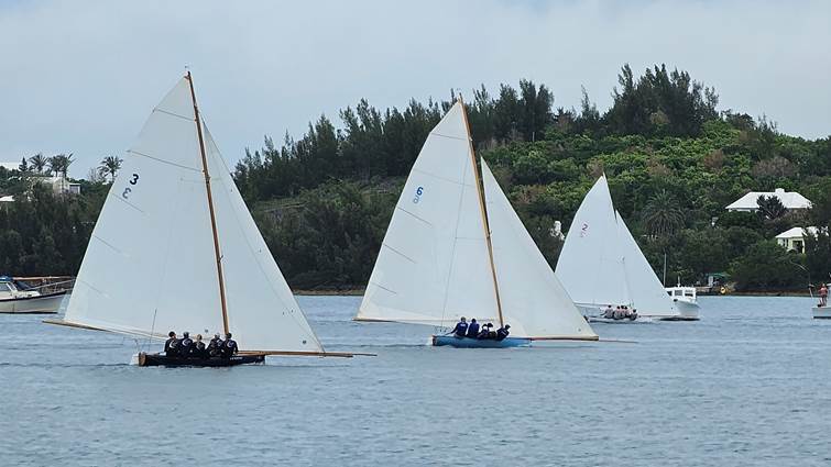Several sailboats on the water

Description automatically generated with low confidence