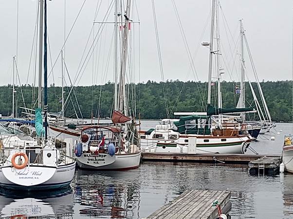 Several boats docked at a dock

Description automatically generated