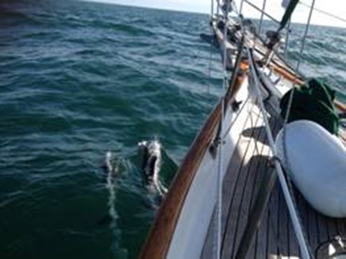 clip_image012