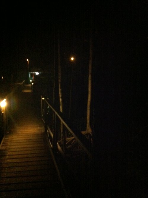 clip_image009