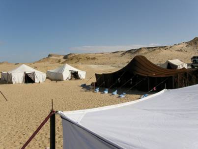 PA291420.jpg