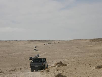 PA281343.jpg