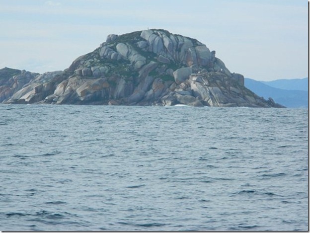 m_DSCN1036
