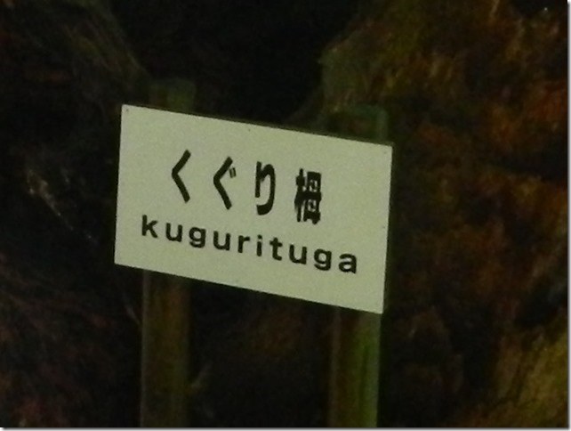 Kugurituga sign