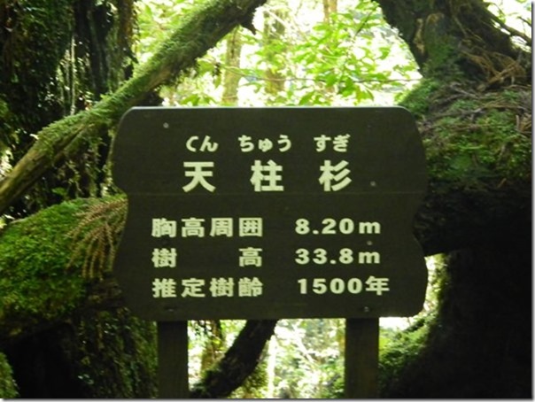 m_DSCN3082