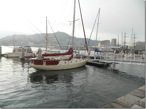 m_DSCN3484