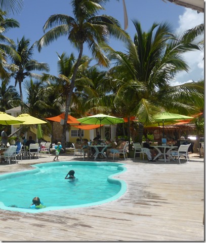 grabbers pool