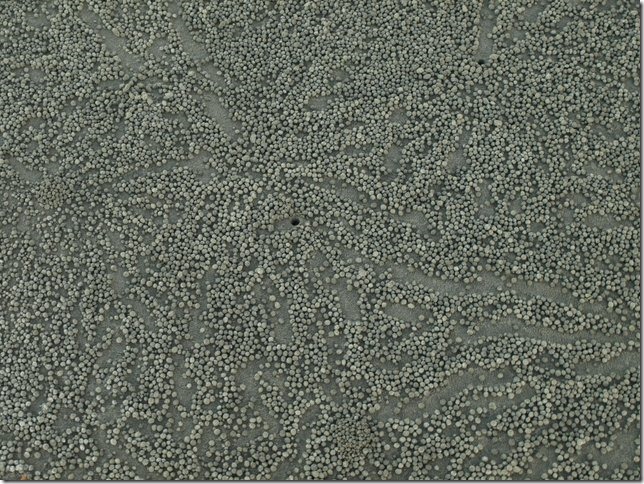 P7183245