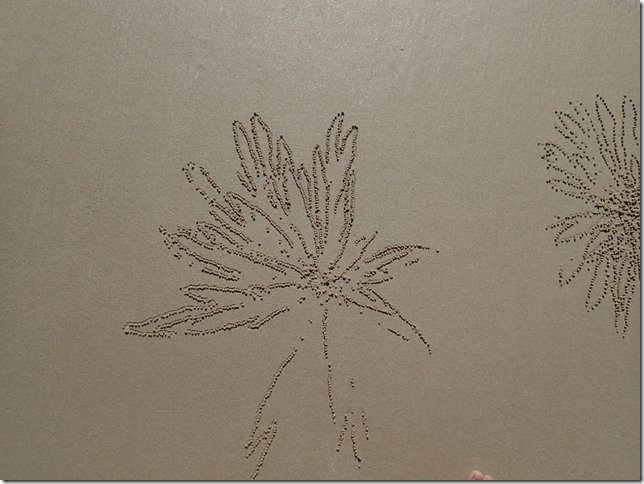 P7050575