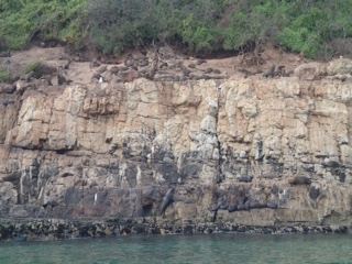 image1.JPG